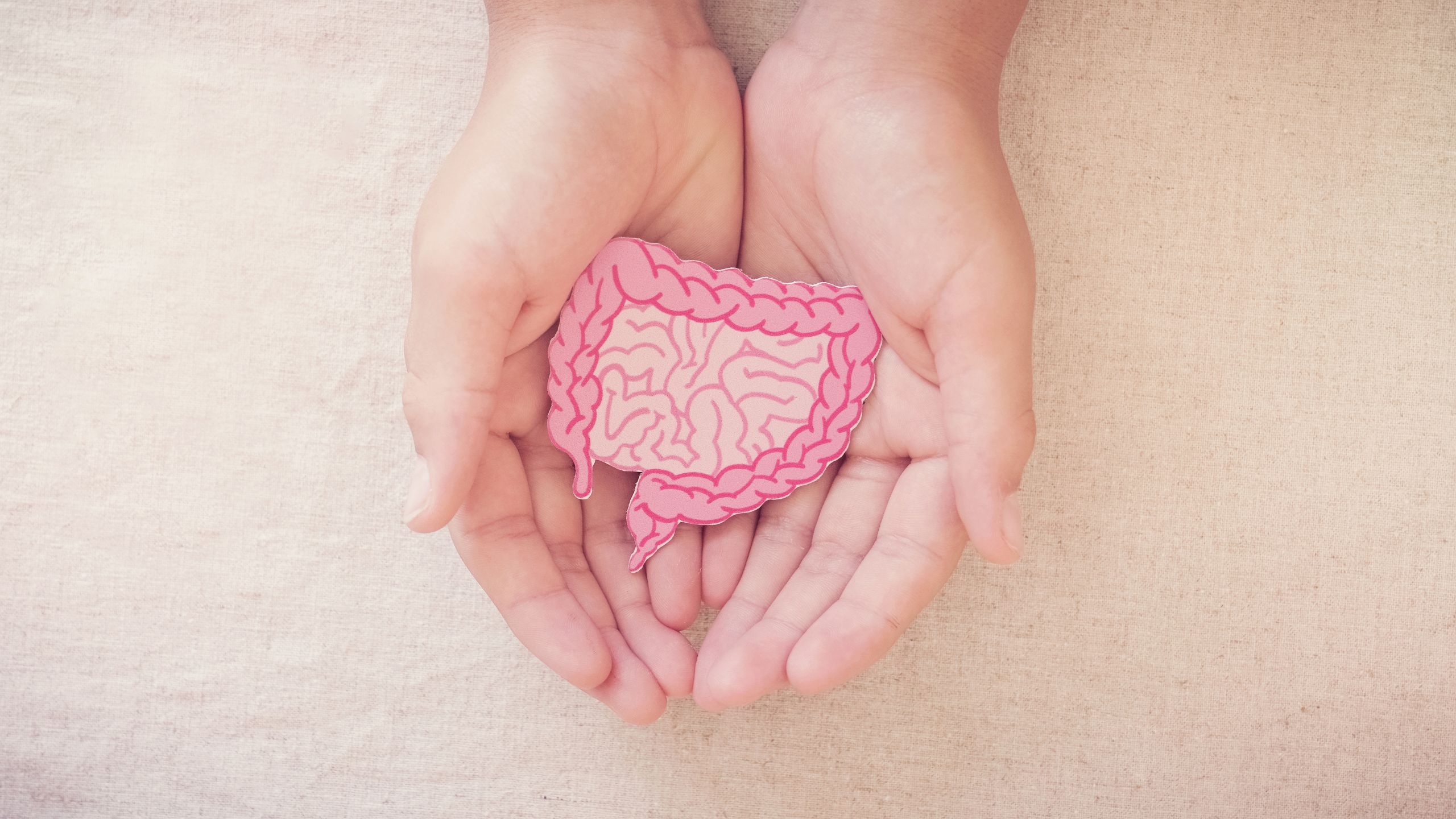 Gut & Digestive Health
